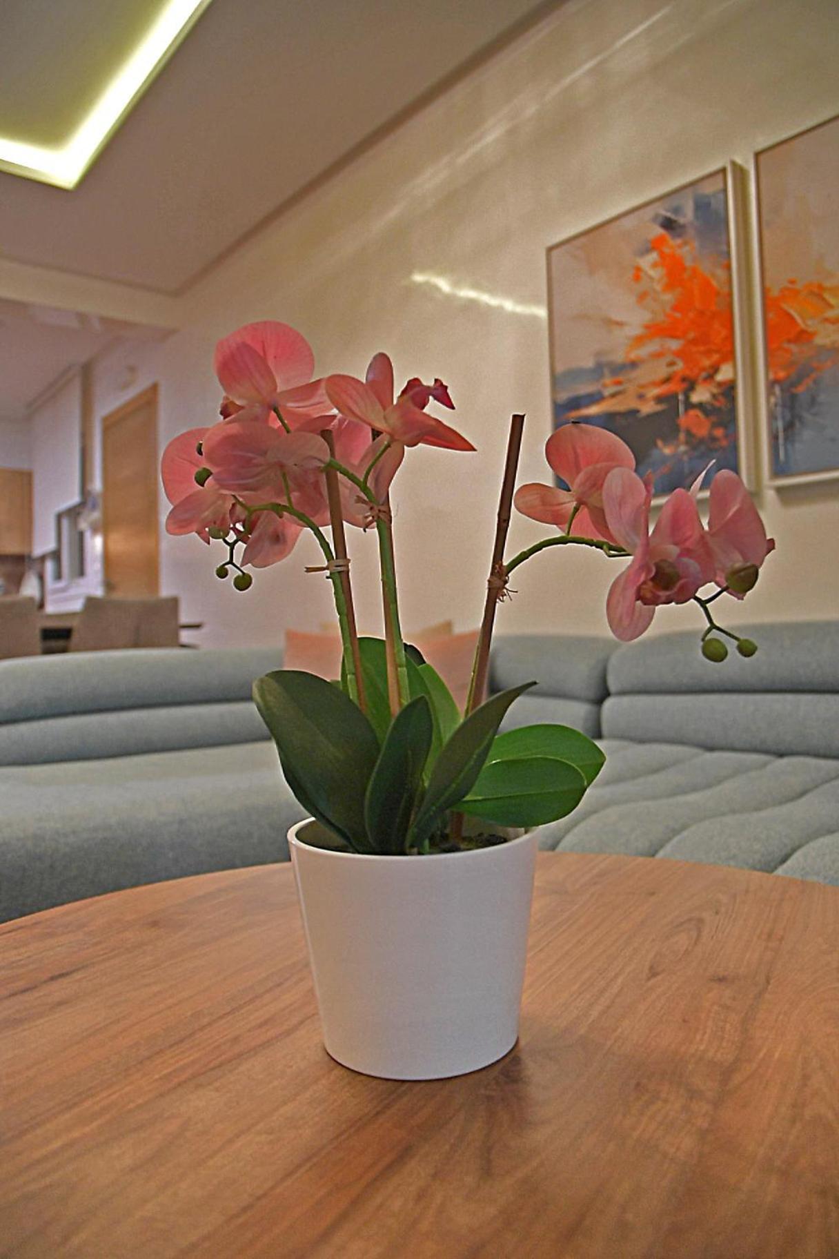 Inhome Apartment กาโบเนโกร ภายนอก รูปภาพ